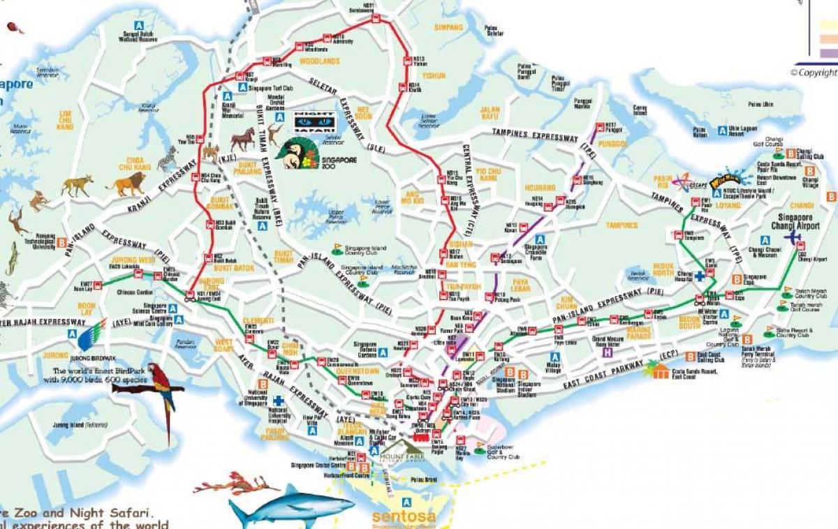 Дорожная карта Сингапура