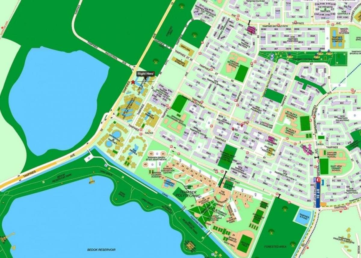 карта Сингапура тампинс