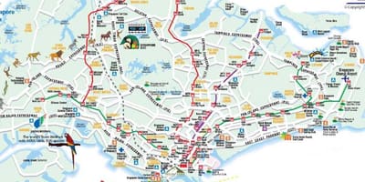 Дорожная карта Сингапура