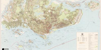 Карта Сингапура топографическая